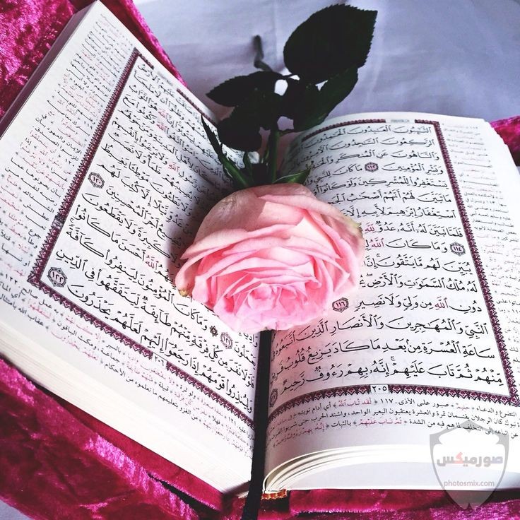 شيـخــہ بٲخـلاقــيہ𓋜.༺ خروج tweet media