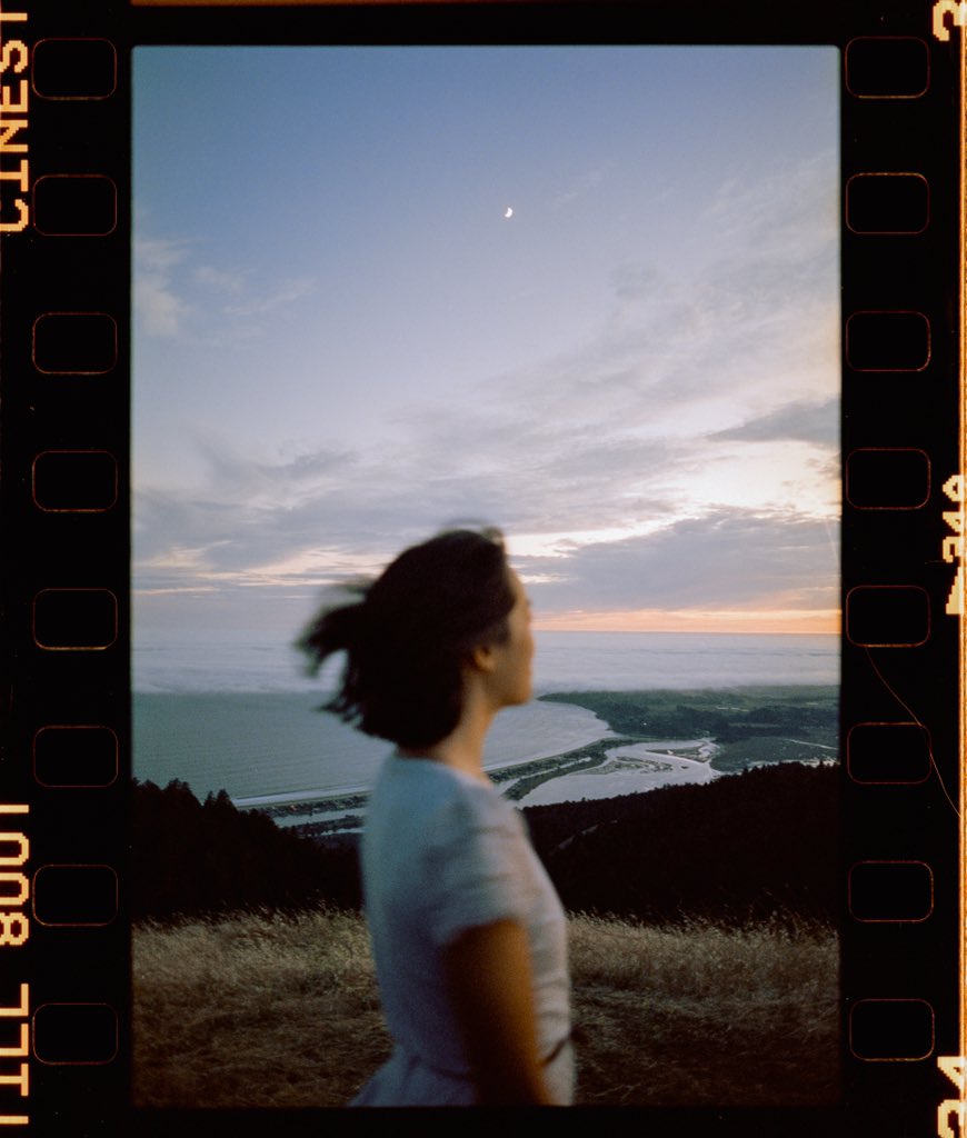 Portra Papi tweet media