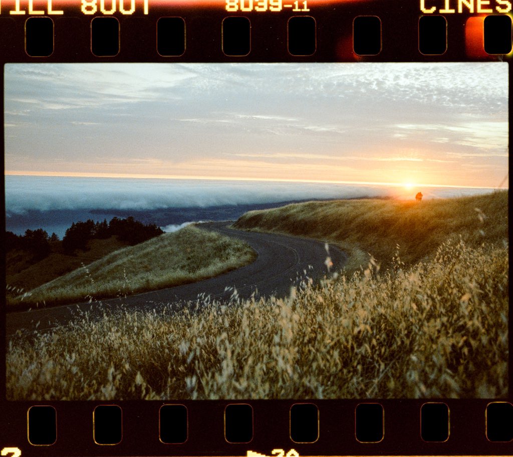 Portra Papi tweet media