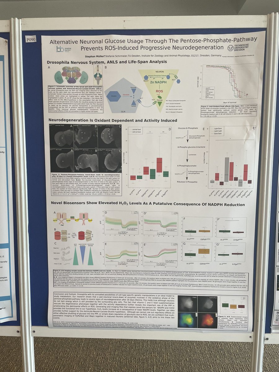 A great kickstart to #neurofly2022 at St.Malo… lovely weather, amazing venue and interesting talks
