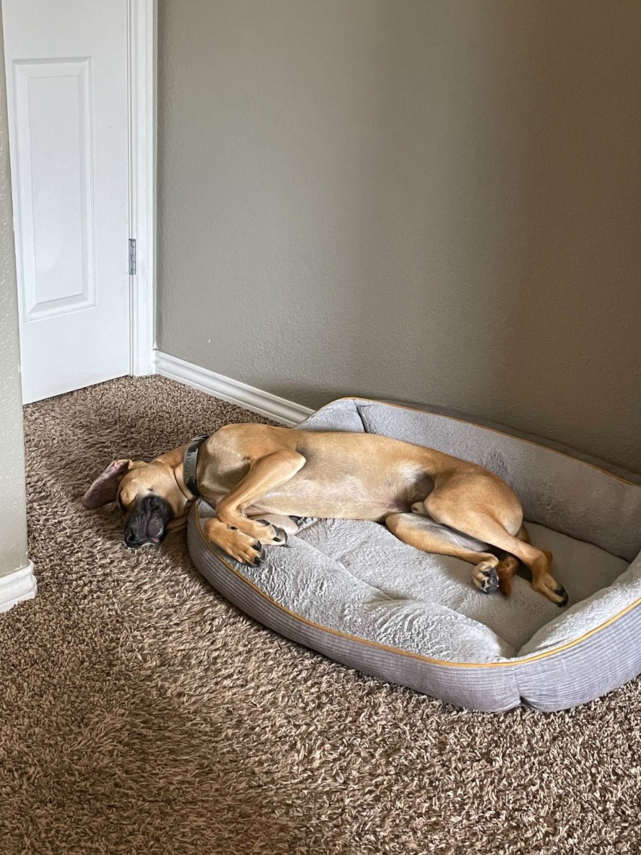 BahlRachel's tweet photo. Don't sleep on this webinar! Join us for "Turn Content into Leads With Gatsby and Contentful"

https://t.co/bu5cWB3weF https://t.co/7utGXfJcq7