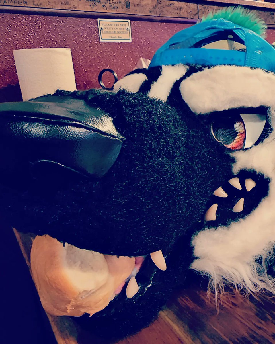 RadTalkinRex's tweet photo. Omnomnom! Always wanted to come here! Rad staff, great vibe, food is epic! Totally smashed my expectations! Definitely coming back!
#furry #furryfandom #fursona #fursuit #fursuiter #goodtimes #havingfun #havingablast #havingagoodtime #missouri
#lambertscafe #throwedrolls #food https://t.co/0WvWkVl06i