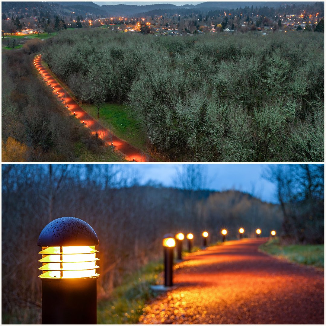 HydrelLighting's tweet photo. A forward-throw asymmetric distribution ensures that the #AmazonRunningTrails receive 180° of light directed towards the path. https://t.co/rEZvnIclp9
#oregon #fitness #runningtrail #bollards #environment #highimpact #pathwaylighting #amberledlight #turtlefriendlylights https://t.co/lMyhAUgW41
