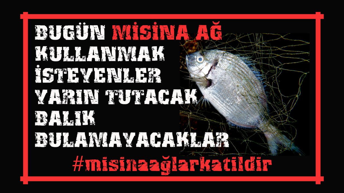 #misinaağlarkatildir #ASOF #AVRASYA #balık #sürdürülebilirlik 
#BSGM 
#yasakdevametmelidir 
#balıkbitmesin
<a href="/tcbestepe/">T.C. Cumhurbaşkanlığı</a>
<a href="/VahitKirisci/">Prof.Dr.Vahit Kirişci</a>
<a href="/tarimveormanbak/">Tarım ve Orman Bakanlığı Destek Hesabı</a>
<a href="/maatalay/">Dr. M. Altuğ ATALAY</a>
<a href="/turgayturkyilmz/">Turgay TÜRKYILMAZ</a>