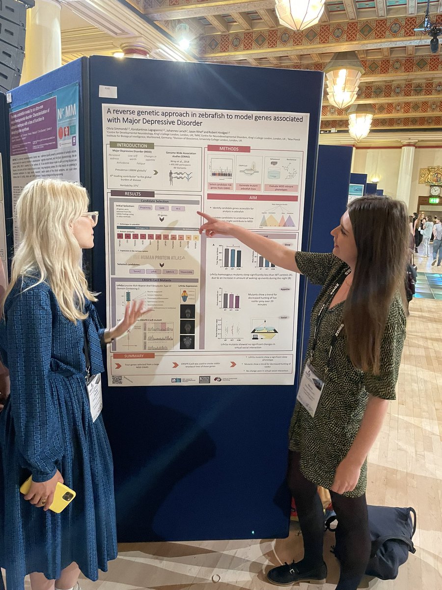 Great to see our @MRC_CNDD @KingsIoPPN PhD student Olivia present her poster on #zebrafish models of major depressive disorder at      #zdm15 and discuss her results with the community.