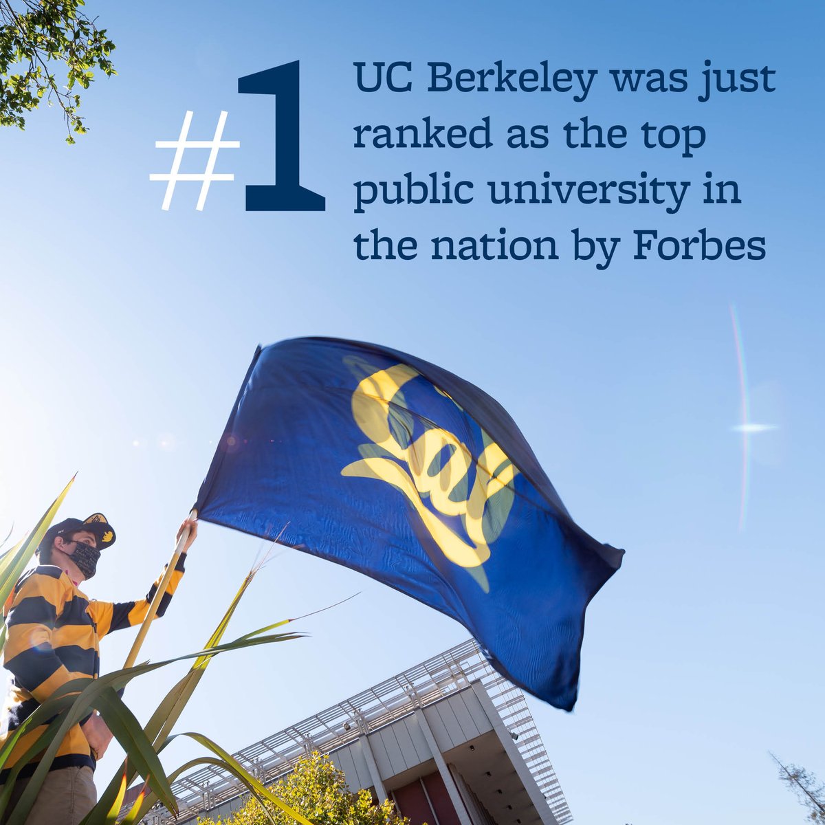 UC Berkeley Admissions tweet media