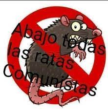 vitagecatso's tweet photo. @miguellittin https://t.co/EPjylknDi2