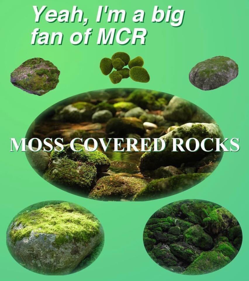 (д)жема tweet media