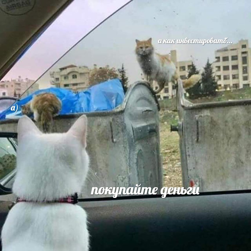 (д)жема tweet media