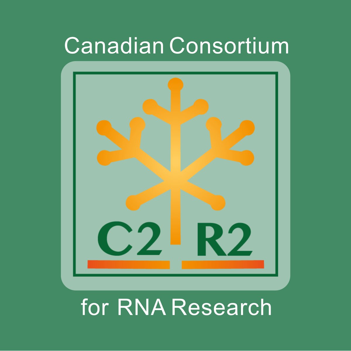 RNA Canada|Canadian Consortium of RNA Researchers tweet media
