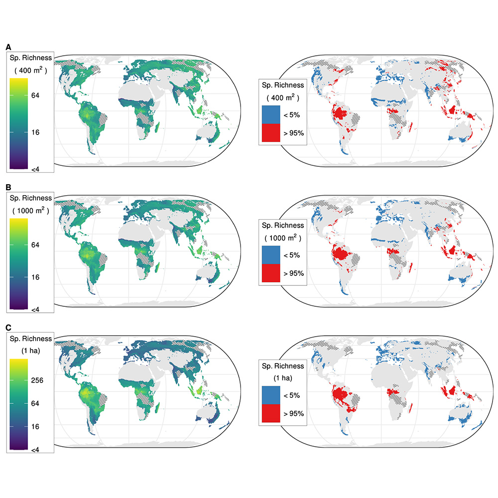 Nature Portfolio (@natureportfolio) on Twitter photo Research published in <a href="/NatureComms/">Nature Communications</a> presents global maps of local species richness for vascular plants in order to provide a nuanced understanding of plant diversity hotspots and improve predictions of global change effects on biodiversity. go.nature.com/3ARGWeG Research published in <a href="/NatureComms/">Nature Communications</a> presents global maps of local species richness for vascular plants in order to provide a nuanced understanding of plant diversity hotspots and improve predictions of global change effects on biodiversity. go.nature.com/3ARGWeG