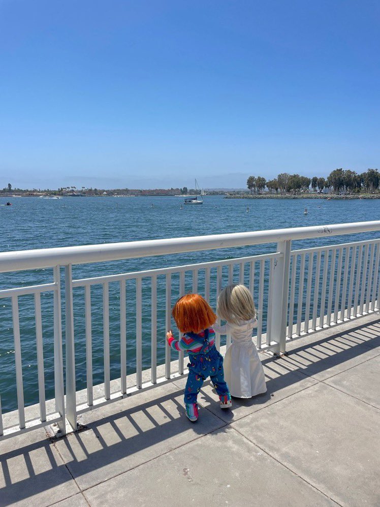 M On Twitter I Wouldn t Know Half The Shit From Fantasy Island If m-on-twitter-i-wouldn-t-know-half-the-shit-from-fantasy-island-if