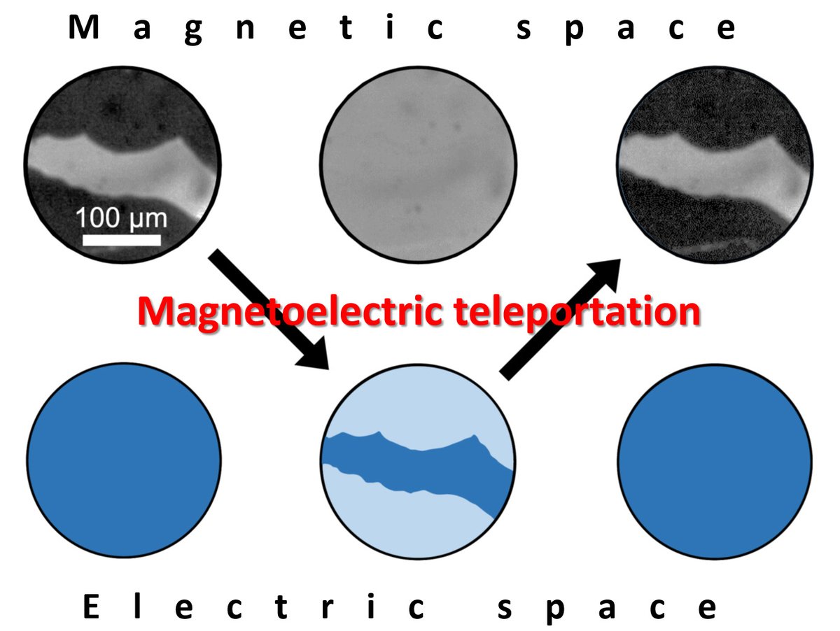 ETH Department of Materials (@eth_materials) on Twitter photo You know teleportation, right? It's this <a href="/StarTrek/">Star Trek</a> thing. Now there is a new variety: #MagnetoelectricTeleportation, invented in the <a href="/ETH_en/">ETH Zurich</a> #FERROIC Lab. Read about it in <a href="/ScienceMagazine/">Science Magazine</a> science.org/stoken/author-… You know teleportation, right? It's this <a href="/StarTrek/">Star Trek</a> thing. Now there is a new variety: #MagnetoelectricTeleportation, invented in the <a href="/ETH_en/">ETH Zurich</a> #FERROIC Lab. Read about it in <a href="/ScienceMagazine/">Science Magazine</a> science.org/stoken/author-…