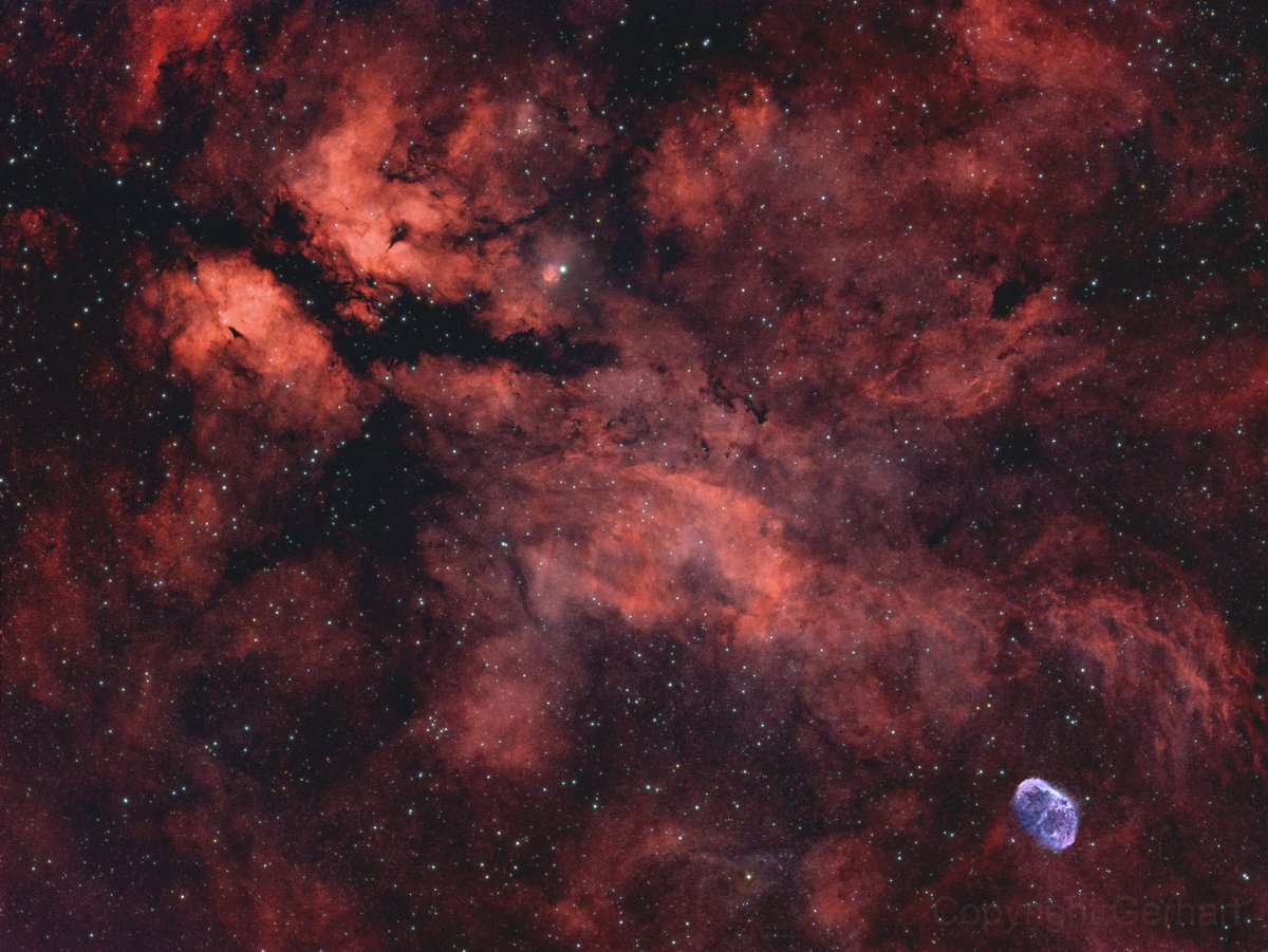 Öffentliche Gebäude ohne Licht. 👍🏻 So viele #Sterne habe ich aus der #Innenstadt von #Heidenheim  noch nie gesehen. Die Lichtverschmutzung ist viel geringer. Gut für die #Natur und die #Astronomie. 
Bild Dr. Gerhart Raichle. Schmetterlingsnebel IC 1388 und Sichelnebel NGC 6888