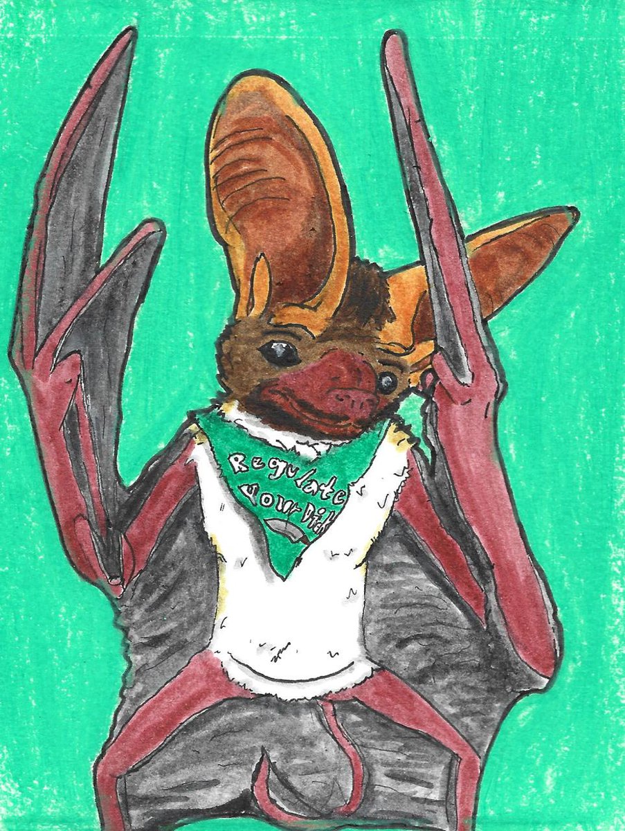 DrekTheBat's tweet photo. #furriesforabortionrights
#regulateyourdick #Idahoabortionrights https://t.co/j4SGmYoJ4k