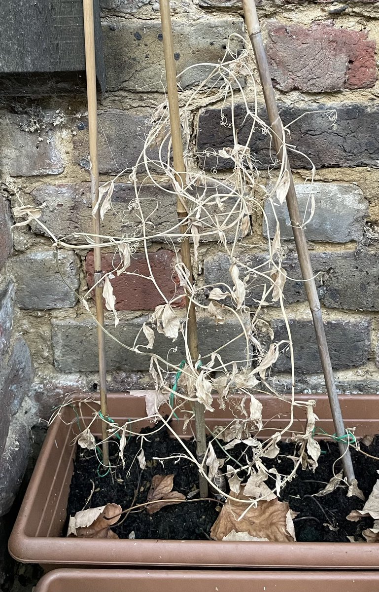 Julian Clary tweet media