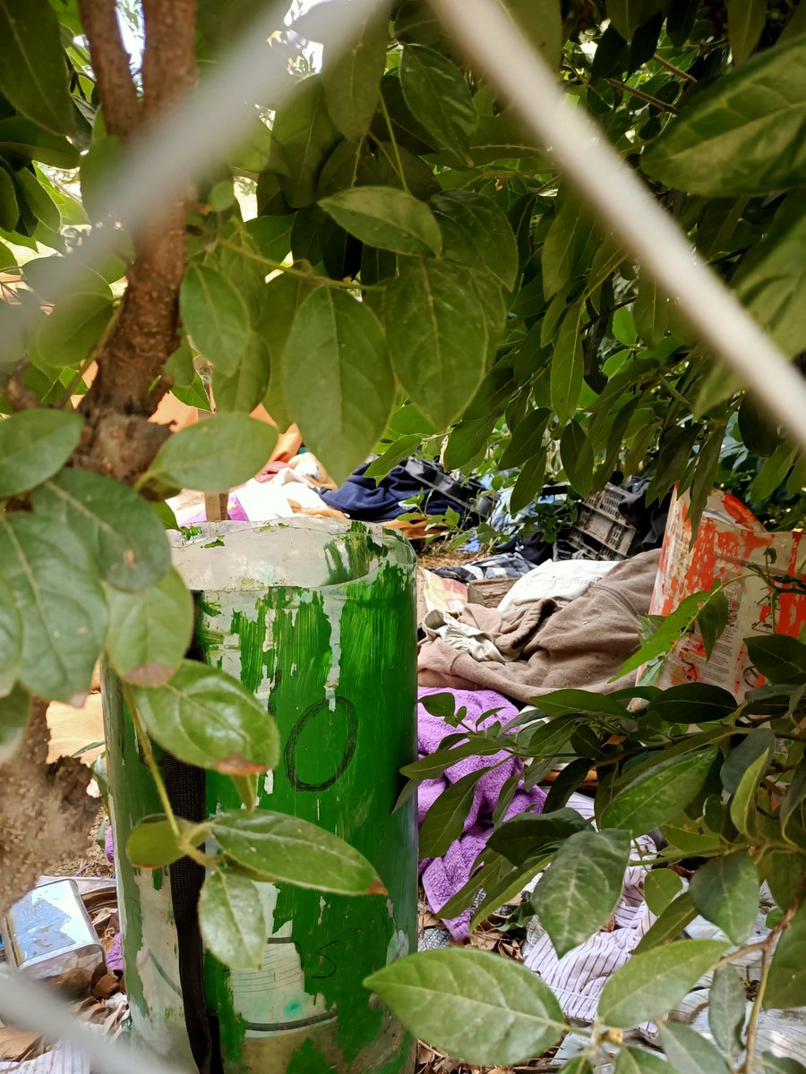 montseh2's tweet photo. @JMDCentro @Lineamadrid @reclamalavapies @CasinodelaReina 
Huerto escolar del Casino de la Reina okupado y los niños como lo usan?? https://t.co/Y44o8yP69u