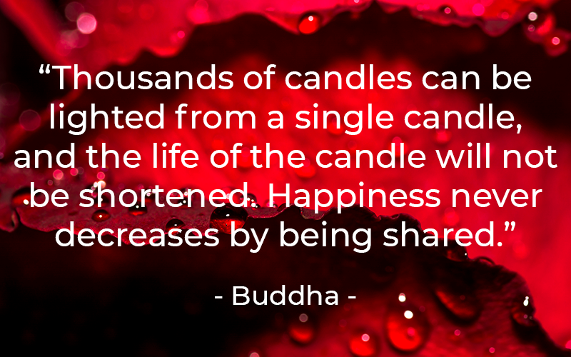 YMCA Blue Water Area tweet media