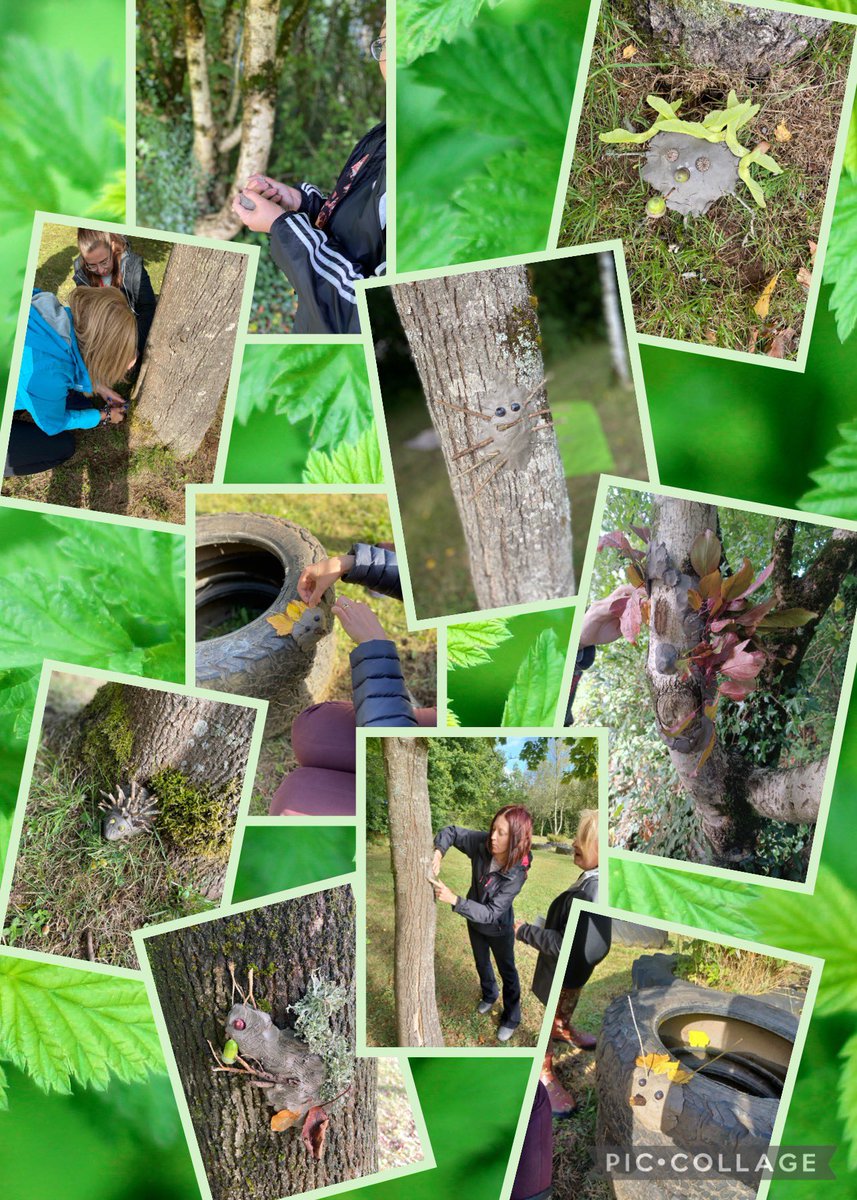 Aberbargoed Primary tweet media