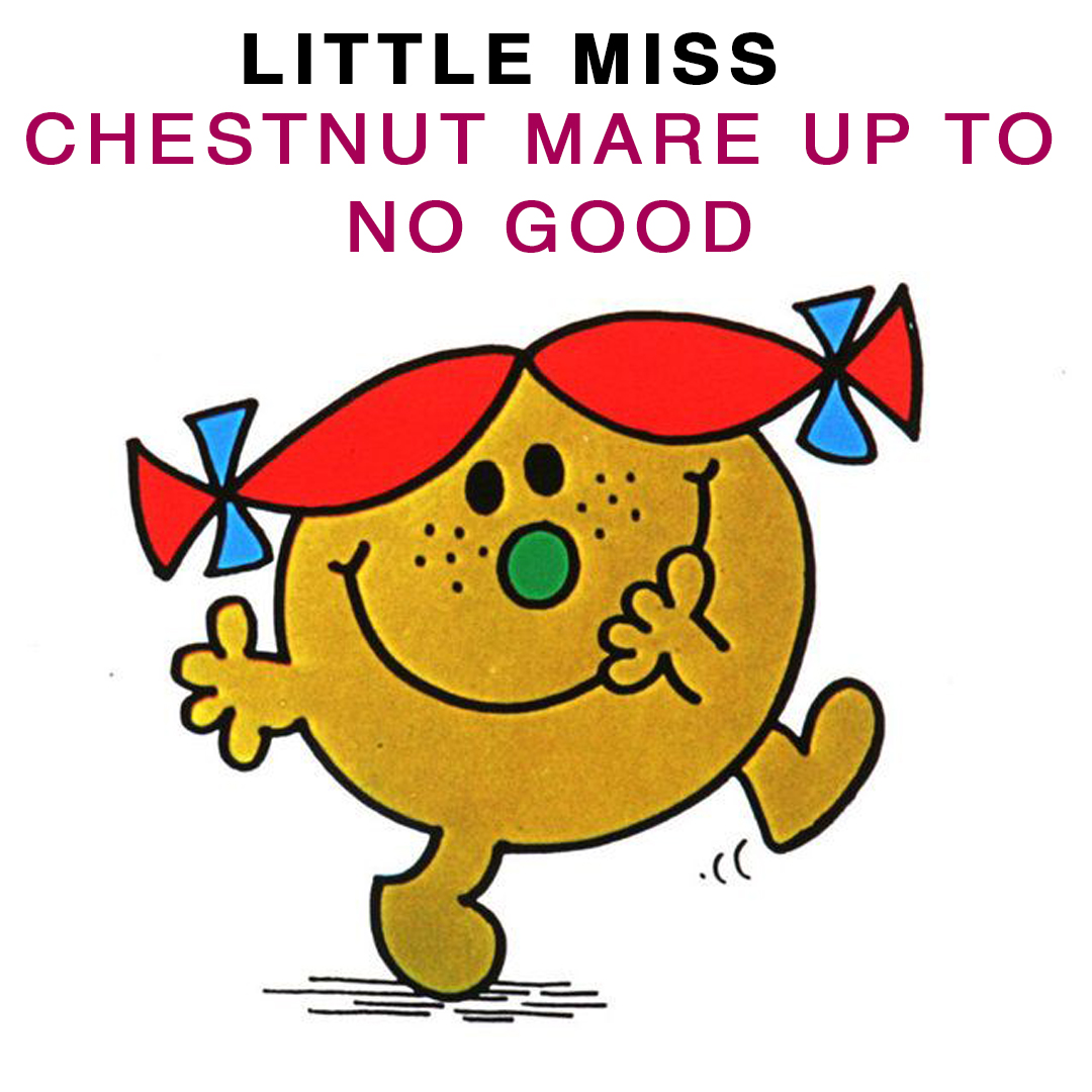 Do you know a chestnut mare that fits 🤔👇
#equus #equusengland