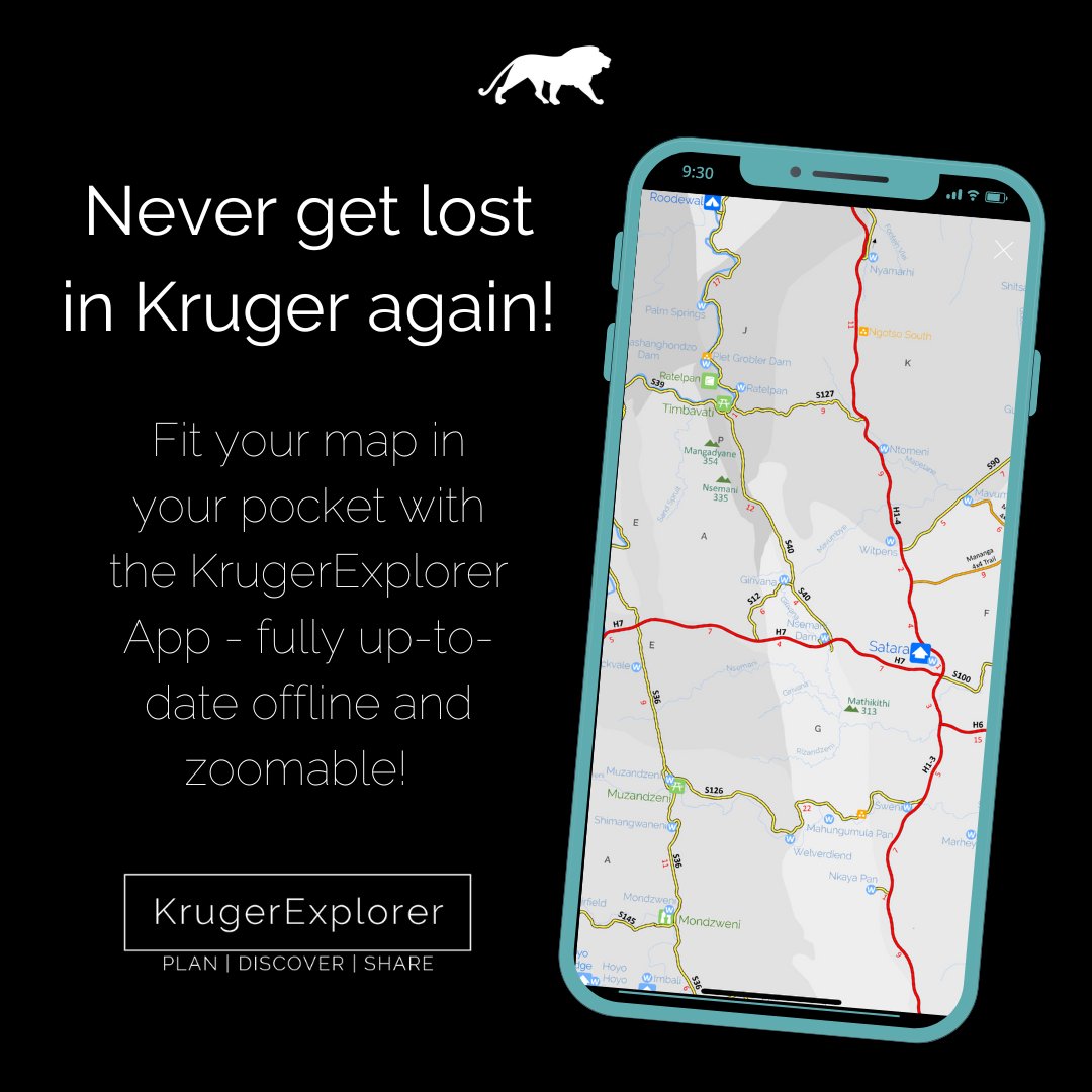 KrugerExplorer's tweet photo. 📍Forgot your map again?? Stop re-buying paper maps and get the only Kruger map you'll ever need 🗺️ Custom-made, zoomable, exceptionally detailed and available offline.
Check it out https://t.co/tmgX6kFRRP
#kruger https://t.co/NmhhHvt0Y1