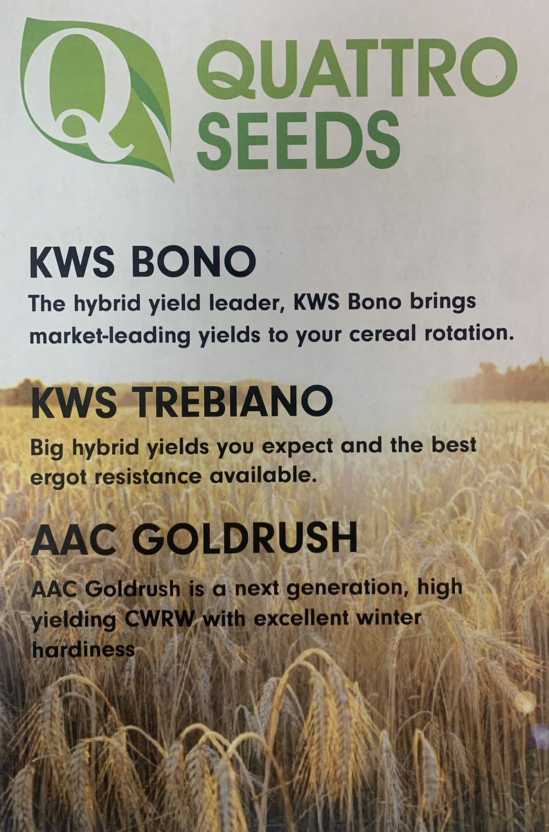 QuattroSeeds's tweet photo. Time to get those fall crops in 🍂🌱🚜#plant23 #grower #AgTwitter #fallseeding @FPGenetics @CGeisam1 https://t.co/wAWNUBnixM