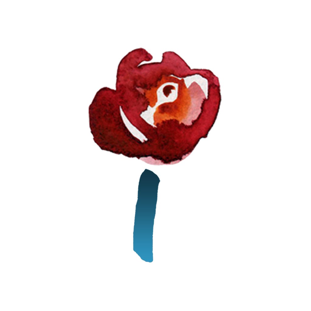 Intrigued (@intriguedco) on Twitter photo 