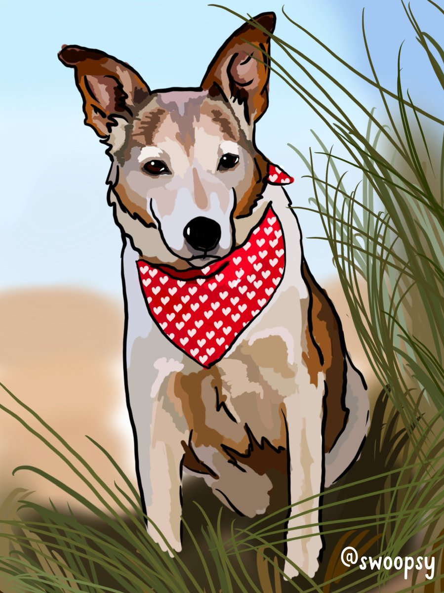 swoopsy_love's tweet photo. This is lovely Poppy, and I drew her for @dotty4paws because I was touched by Kate’s story. 

Poppy visited the bridge of rainbows not long ago, but here she is looking absolutely perfect!!

💗🐾
#MHHSBD #dogsoftwitter #sbs #rainbowbridge #artistsontwitter https://t.co/JTp03sC9Y6