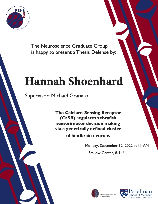 PennNGG's tweet photo. We have another dual thesis defense day! NGG is proud to present the dissertation defenses of Vanessa Fleites (@FleitesVanessa) of the De Biasi lab and Hannah Shoenhard (@HShoenhard) of the @GranatoLab - good luck to you both! #NGG #AlmostPhDone

Please DM us for virtual access. https://t.co/Ux746rNVKg