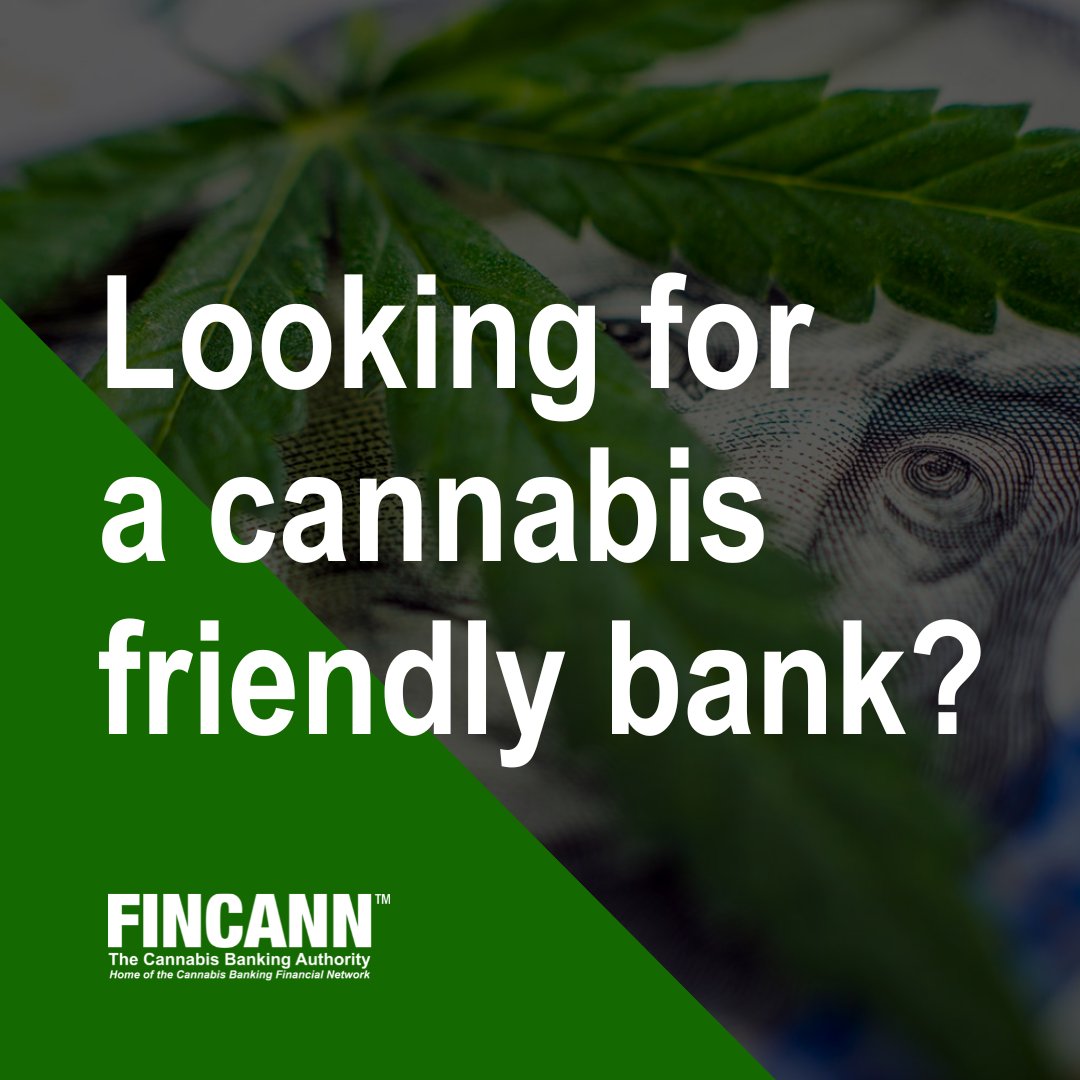 Fincann tweet media