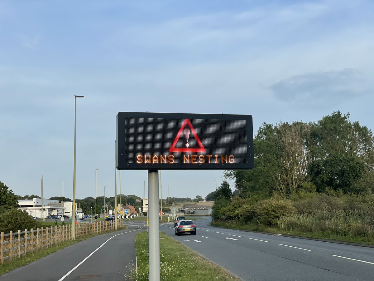 MichaelJPoulter's tweet photo. First time Iβve seen this sign!! π#SwansNesting π¦’ https://t.co/g7mAvMXb3g