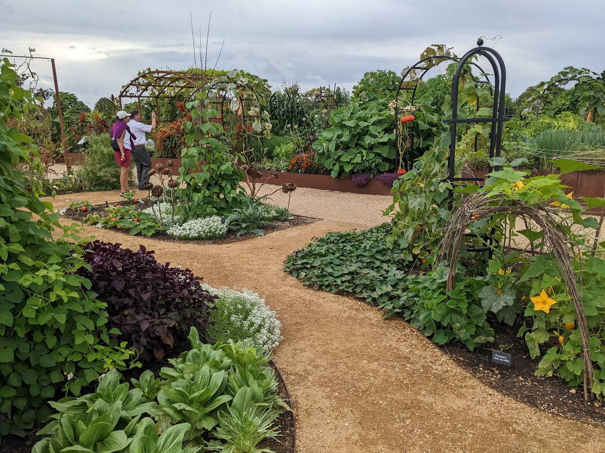 RHS Tender Ornamental Plant Committee (@tender_plant) on Twitter photo A lovely day at <a href="/RHSWisley/">RHS Garden Wisley</a> for the <a href="/The_RHS/">The RHS</a> Tender Ornamental Plant Committee visiting the #Exotic Garden, new Hilltop gardens and an early tour of the Glasshouse, hosted by <a href="/EmAllGP/">Emma Allen</a> - lots of big #leaves and gorgeous #flowers! A lovely day at <a href="/RHSWisley/">RHS Garden Wisley</a> for the <a href="/The_RHS/">The RHS</a> Tender Ornamental Plant Committee visiting the #Exotic Garden, new Hilltop gardens and an early tour of the Glasshouse, hosted by <a href="/EmAllGP/">Emma Allen</a> - lots of big #leaves and gorgeous #flowers!