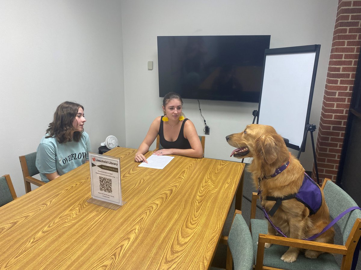 ecoklibrary's tweet photo. Come see Nemo! 🦮 He will be on campus twice a month this semester, beginning Tuesday, September 27th from 5:30 -6:30 p.m. Read, relax, and recharge with good company! Call 580-559-5308 or stop by the library for more information. #ECOKLibrary #ECUTigers #ReadToNemo 🥰🐾 https://t.co/7izyBtSOtV