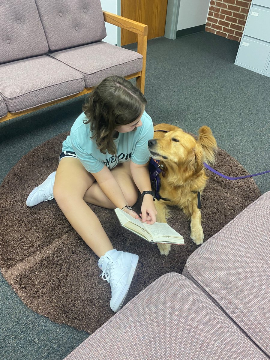 ecoklibrary's tweet photo. Come see Nemo! 🦮 He will be on campus twice a month this semester, beginning Tuesday, September 27th from 5:30 -6:30 p.m. Read, relax, and recharge with good company! Call 580-559-5308 or stop by the library for more information. #ECOKLibrary #ECUTigers #ReadToNemo 🥰🐾 https://t.co/7izyBtSOtV