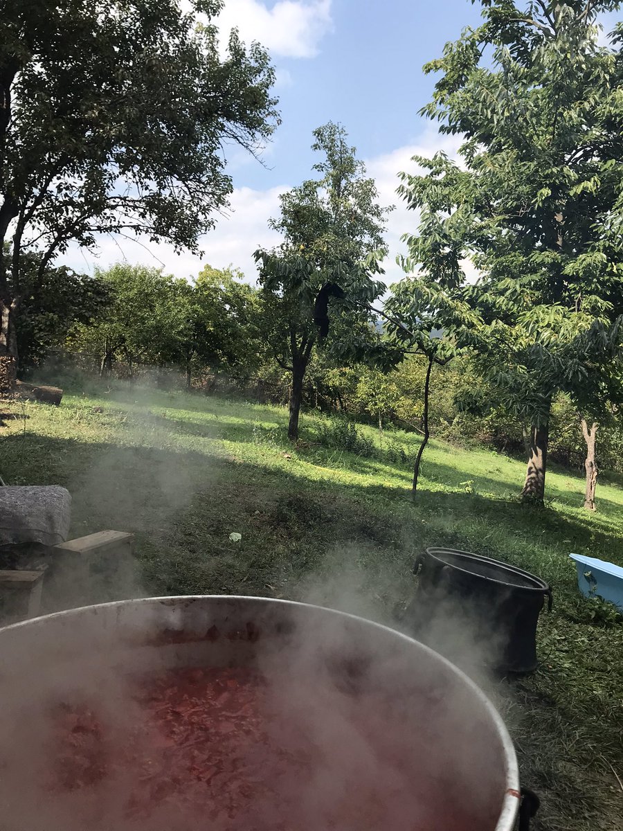Doktor da olsan o salçayı yapacaksın. 😶‍🌫️