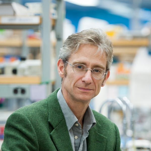CBR_UBC's tweet photo. Congratulations to Dr. Fabio Rossi, newly elected as a Fellow to the Royal Society of Canada @RSCTheAcademies!

He is among 13 #UBC faculty inducted as Fellows to the #CollegeofNewScholars.

#rscBRAVOsrc - congratulations!!

More: https://t.co/6OoLVolk5s

@SBME_UBC 
@UBCmedicine https://t.co/p4NvLsg50j