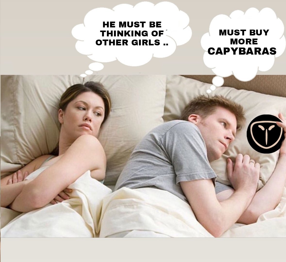 papahaliffreal's tweet photo. @CapybarasCC My Entry 
@CapybarasCC
#CapyMemeContest #CapybarasCC #CapyCountryClub https://t.co/RMZGcpZdnS