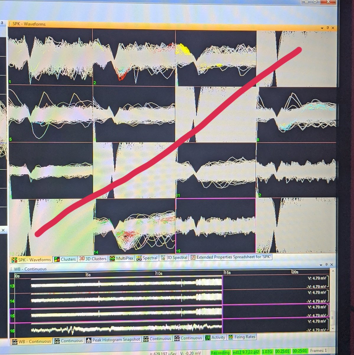 Dr. Anna Liley tweet media