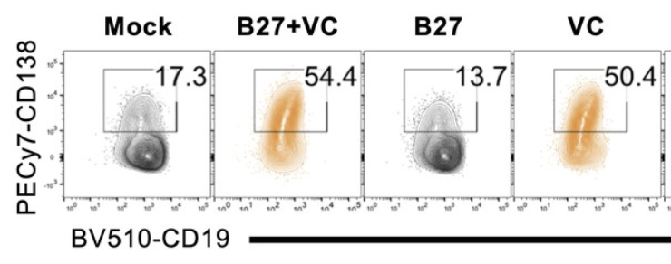 Jerry Lio Lab tweet media