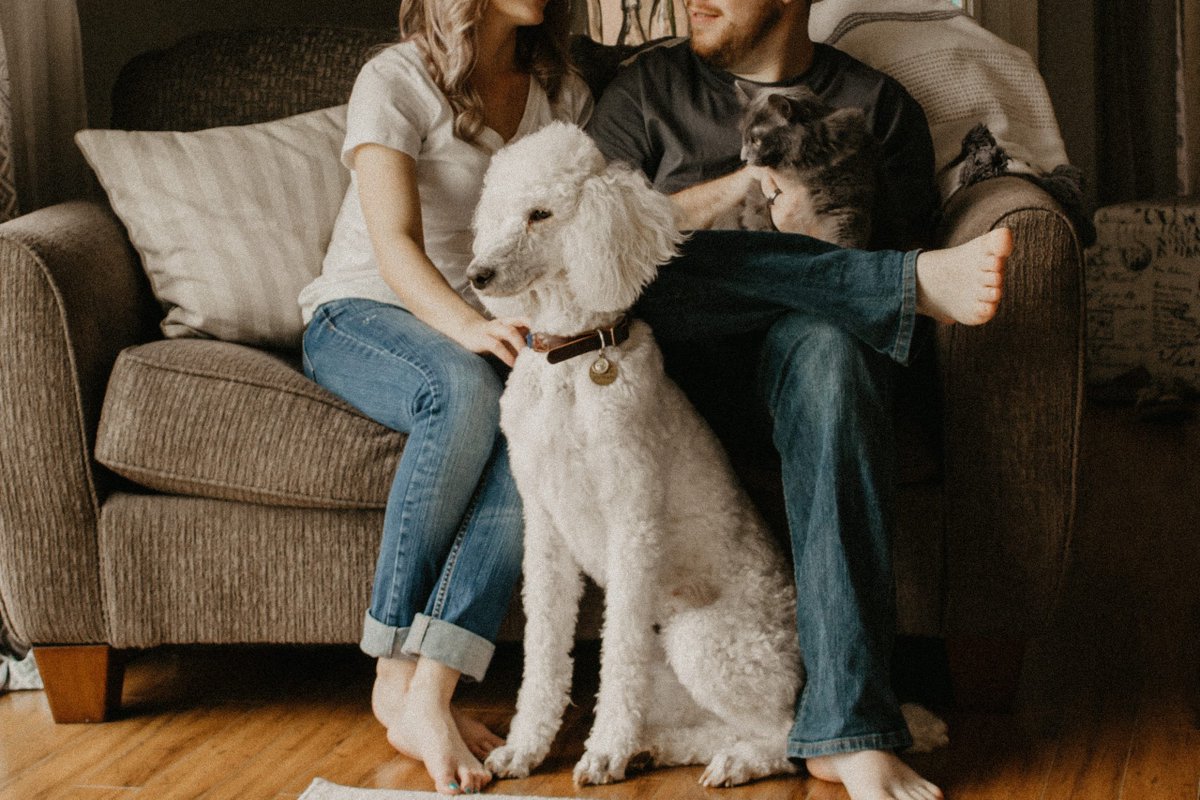 Personal Finance Tips for Animal Lovers dlvr.it/SXx95M via @CampFireFinance via @campfirefinance