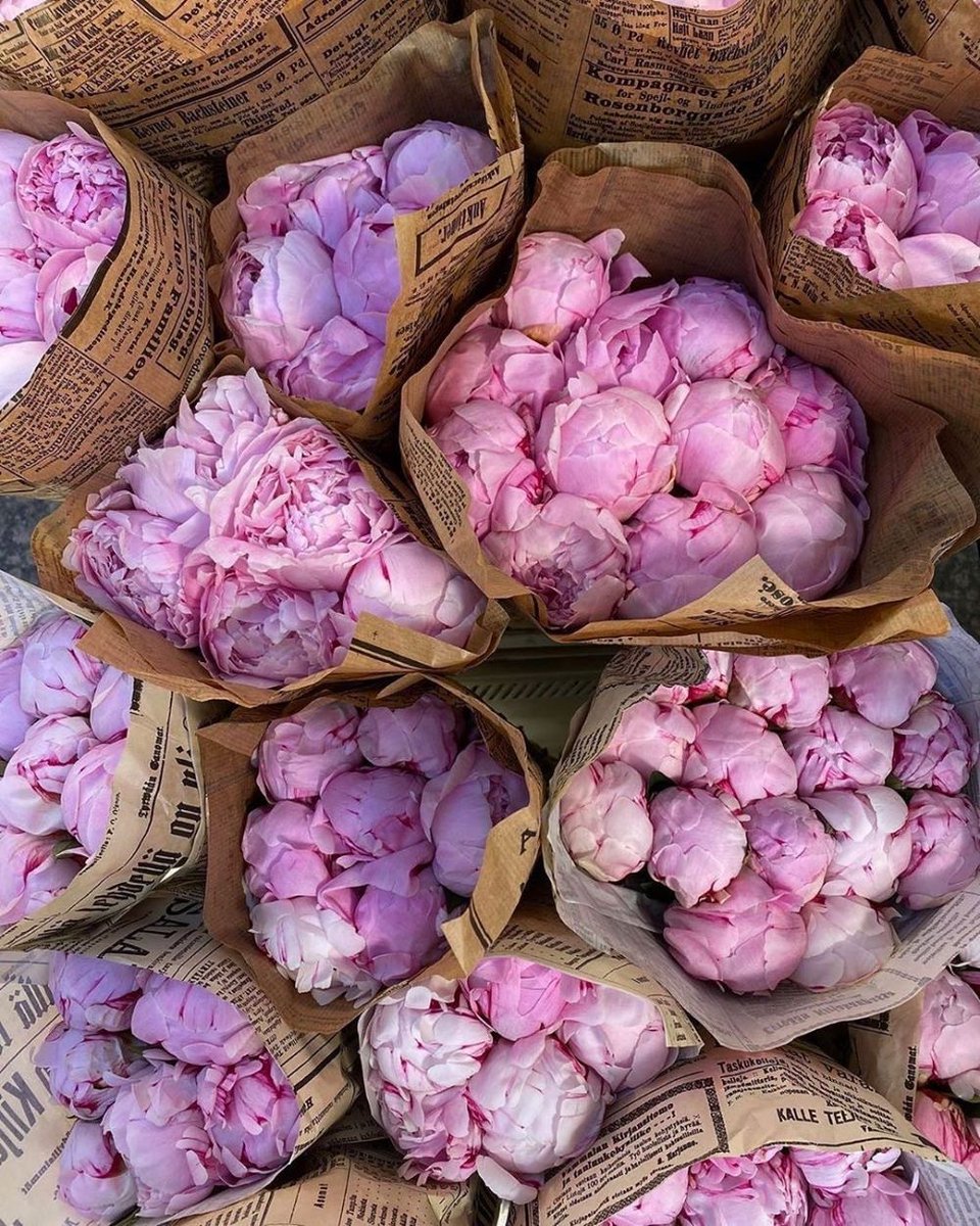 xbabyivy's tweet photo. Peonies https://t.co/AVThqai4Dc