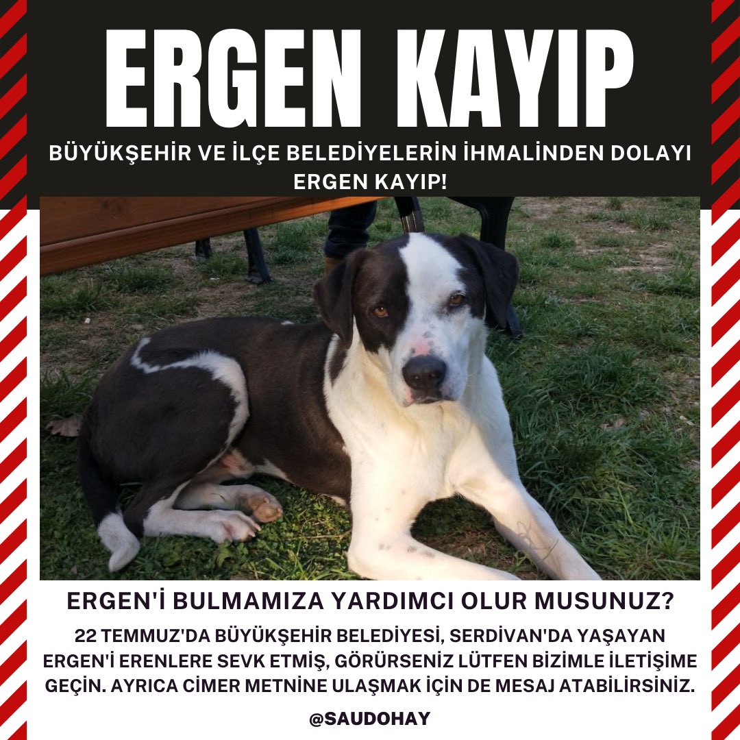 ERGEN’İ BULMAMIZA YARDIMCI OLUR MUSUNUZ?Cimer metni için bize ulaşın
Mücadelemizi yazılı şikayet şeklinde ve sahada fiilen köpeğimizi aramaya devam ederek sürdüreceğiz. Tekrar aynı durumların yaşanmaması için belediyeleri 5199'u uygulamaya ve yetkilileri göreve davet ediyoruz.
