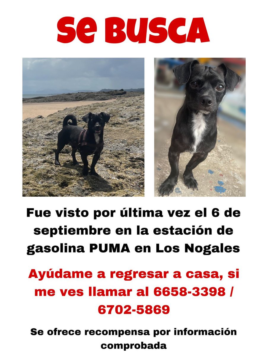 No soy de pedir nada por está red, pero hoy necesito que por favor me ayuden con un me gusta o retuit para dar con el paradero de un amigo de la familia, fue visto por última vez por la estación de gasolina PUMA de los nogales 2, Las Mañanitas.