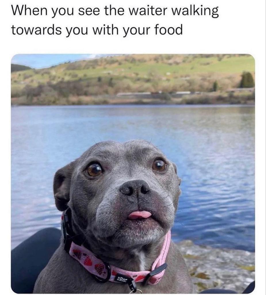 WholesomeMeme's tweet photo. https://t.co/VHG3lhqh53