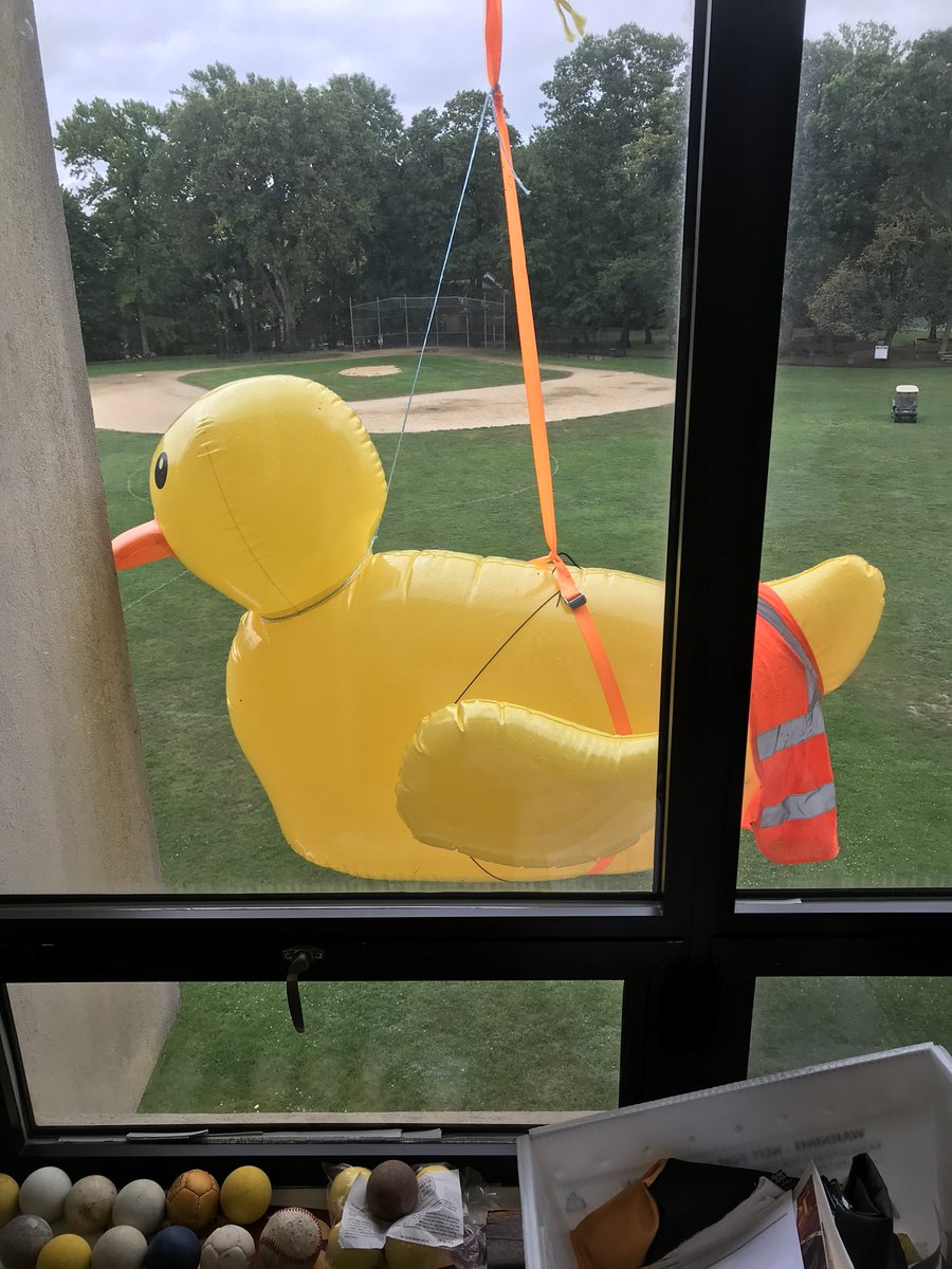 SI_Academy's tweet photo. Duck, duck… hey Mr. Crane https://t.co/CRVFNzMk9Z