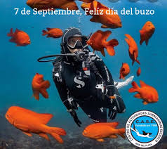 CiMaceitos's tweet photo. Cada 7 de septiembre. Se celebra el #DiaMundialDelBuzo. Con ello se pretende homenajear a aquellas personas que ejercen esta práctica profesional con diversos fines, sumergidos en las profundidades de océanos y mares. #DiversDay #Buzo, @FundichelyRosa, @RaulSamon, @dpestgo https://t.co/ZVSv4jeOI7