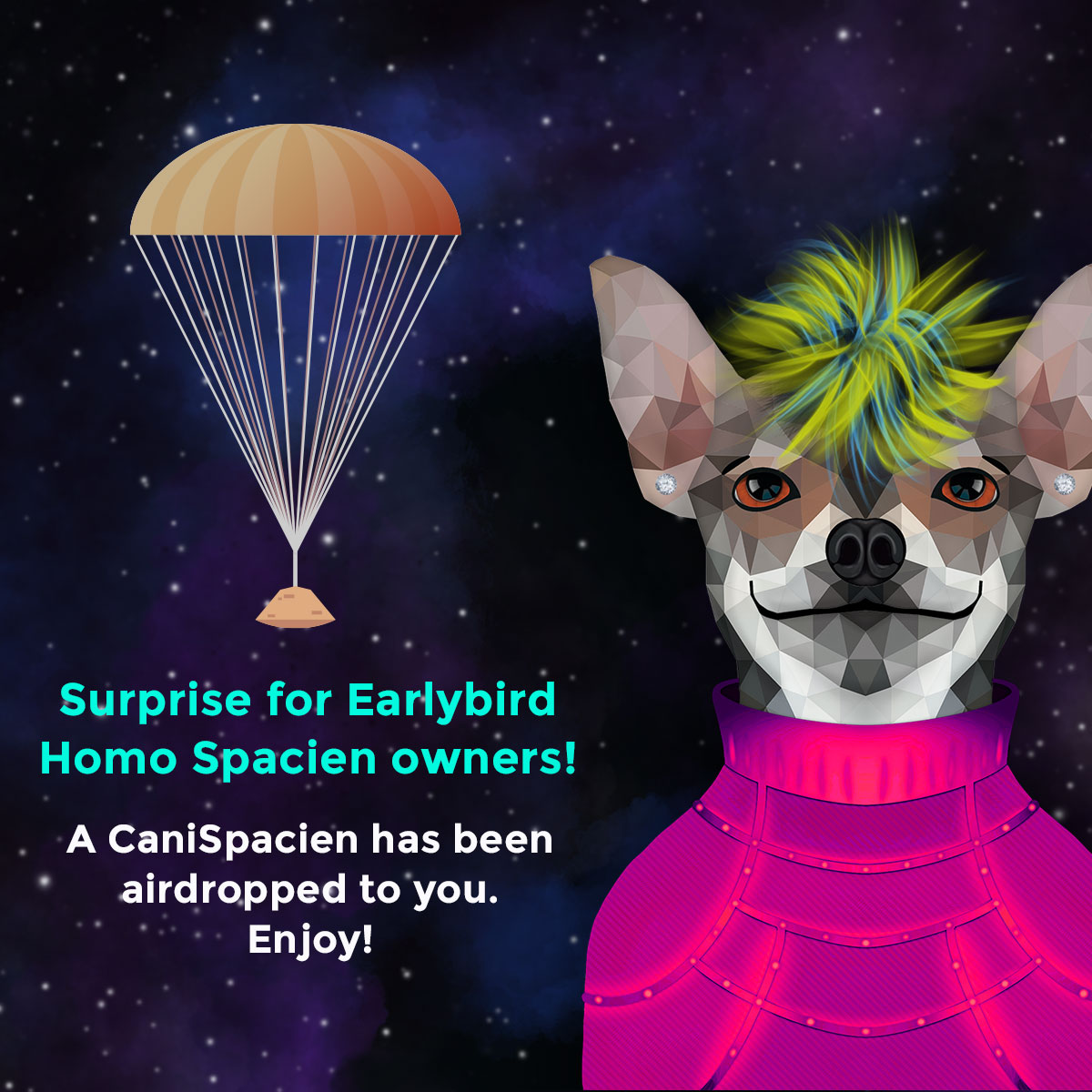 HSpacienNFT's tweet photo. Earlybird owners of a Homo Spacien were airdropped a CaniSpacien. Enjoy them!
You are also on the WL for the Pre-sale mint on 13th Sept. at 7pm BST / 8pm CET / 2pm EST / 11am PST.
#canispacien #homospacien ##freenft #nft #nftnews #nftdrop #cryptoart #ethereum #pfpart #space https://t.co/09CVdSKtEN