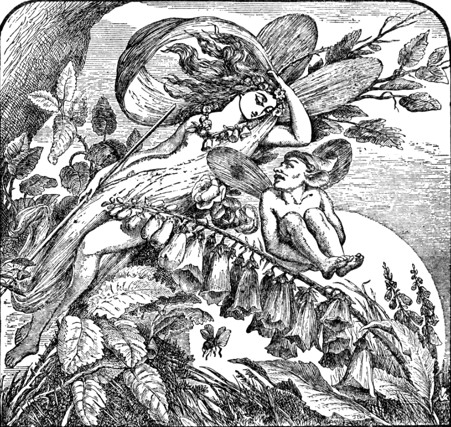 dreamerbook's tweet photo. From "Midsummer Night's Dream"
- Puck finds the little purple flower- by English painter and illustrator Henry Courtney Selous, 1864

#hcselous #henrycourtneyselous #midsummernightsdream #shakespeare #shakespeareillustration #victorianart #puck https://t.co/Fps3hZY4Z3