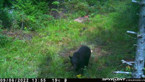 bowhunter49Elit's tweet photo. @countrygirl8923 https://t.co/w2A7WgVCV5