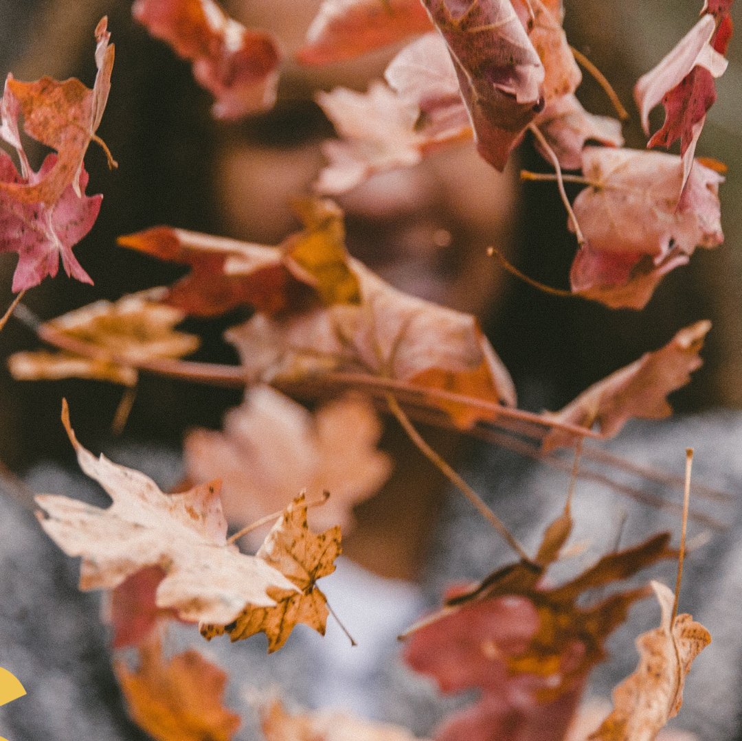 "Bienvenido septiembre, que nos da la oportunidad de volver a empezar" - Mes de reencuentros y celebraciones 🍂
.
.
#socialmedia #suiteagencia #comunicion #comunicarconestilo #lifestyle #autumn
